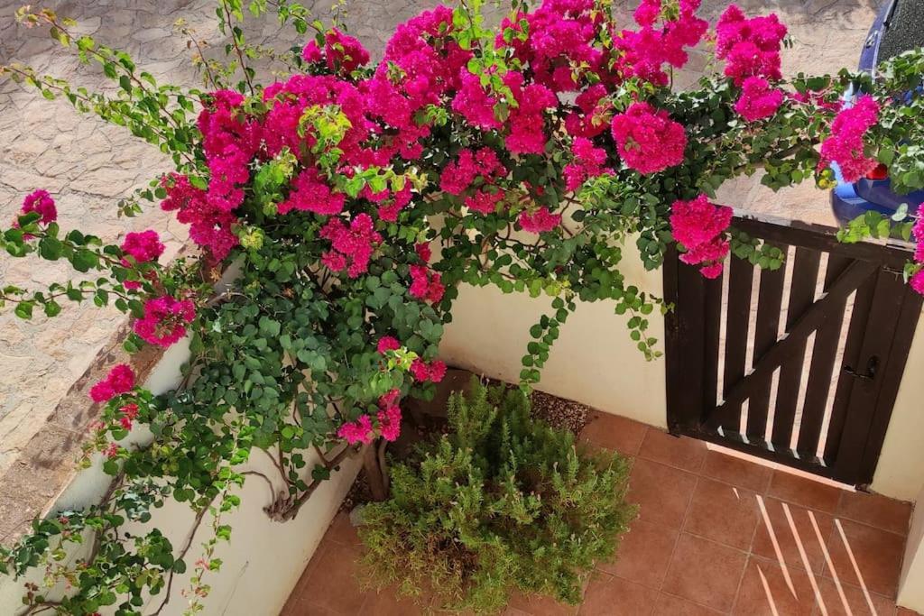 Casa Con Piscina En San Jose Sotillo ภายนอก รูปภาพ
